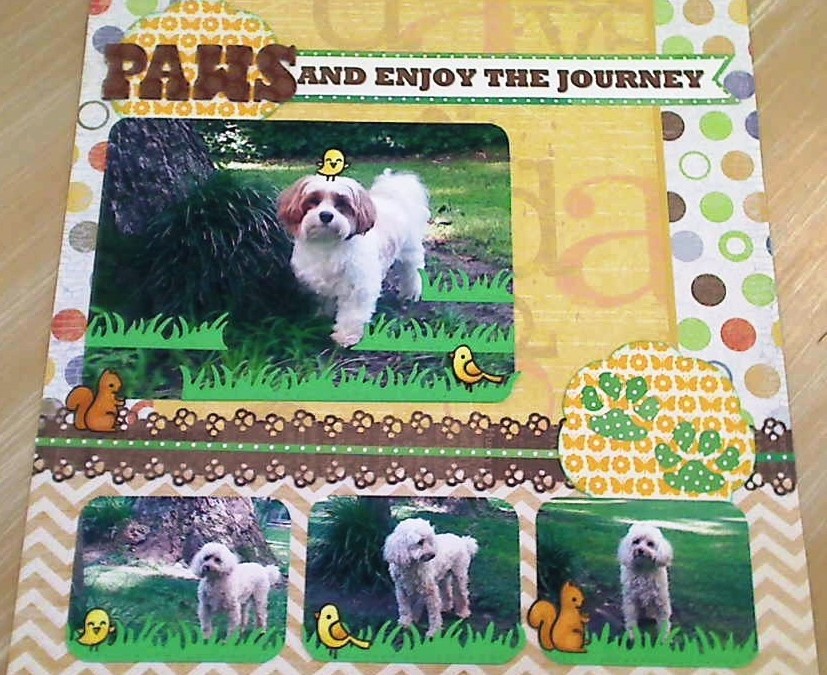 PAWS and Enjoy the Journey LO