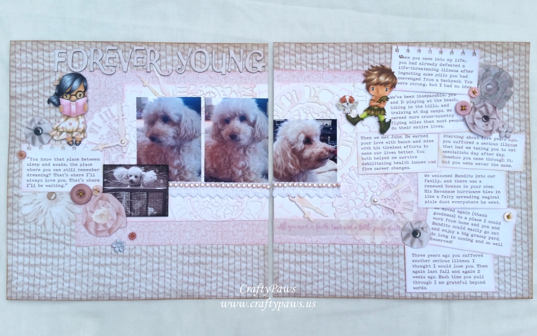 Forever Young: A Sentimental Layout of My Sweet Biscuit