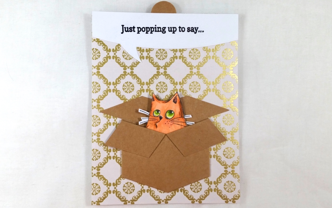 Cat in a Box Surprise Slider Card!