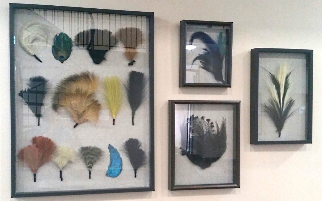 Vintage Feather Collection Art