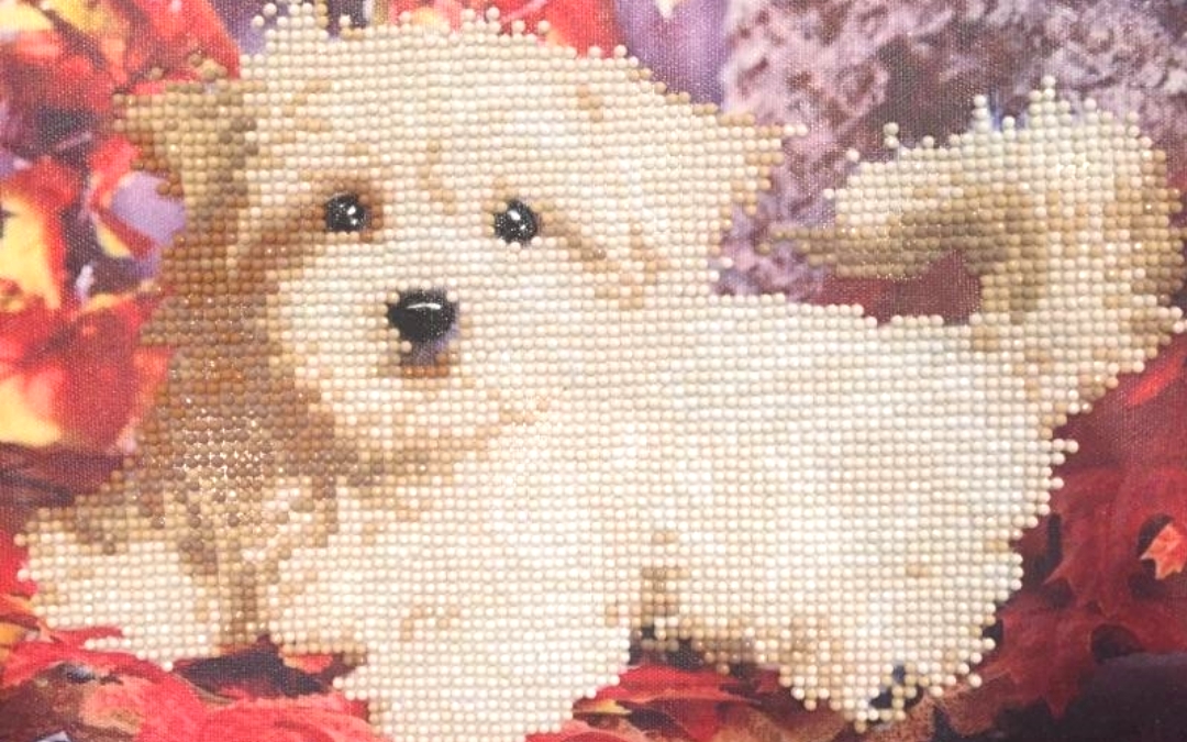 My First Diamond Painting – Cookie